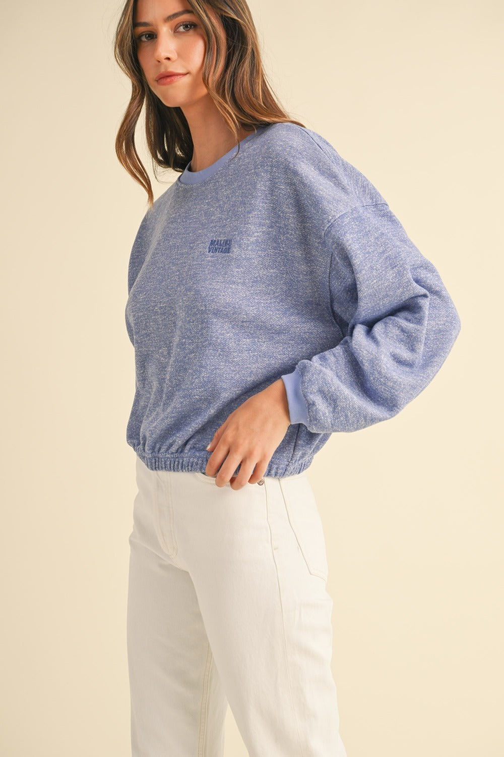 Elani Embroidery Crop Sweatshirt